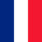 A red white and blue flag with the french flag on it
